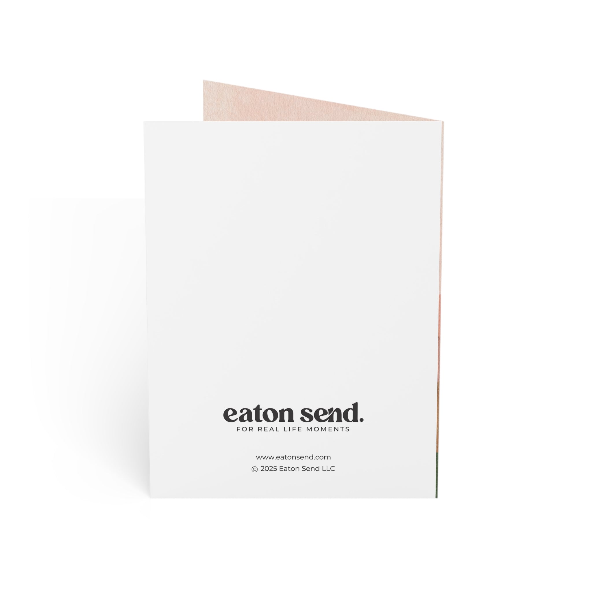 You're a Wonderful Stepmom Birthday Card