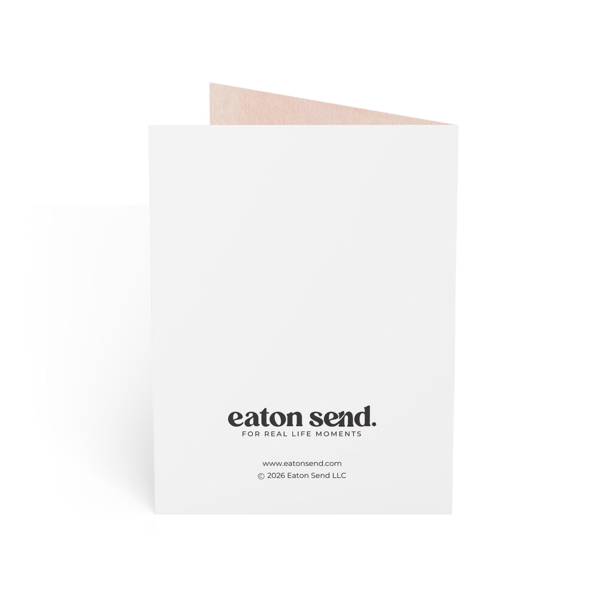 You're a Wonderful Stepmom Birthday Card